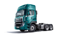 Roli la lori kijani kubwa, limepangwa kando ya mandharinyuma meupe.